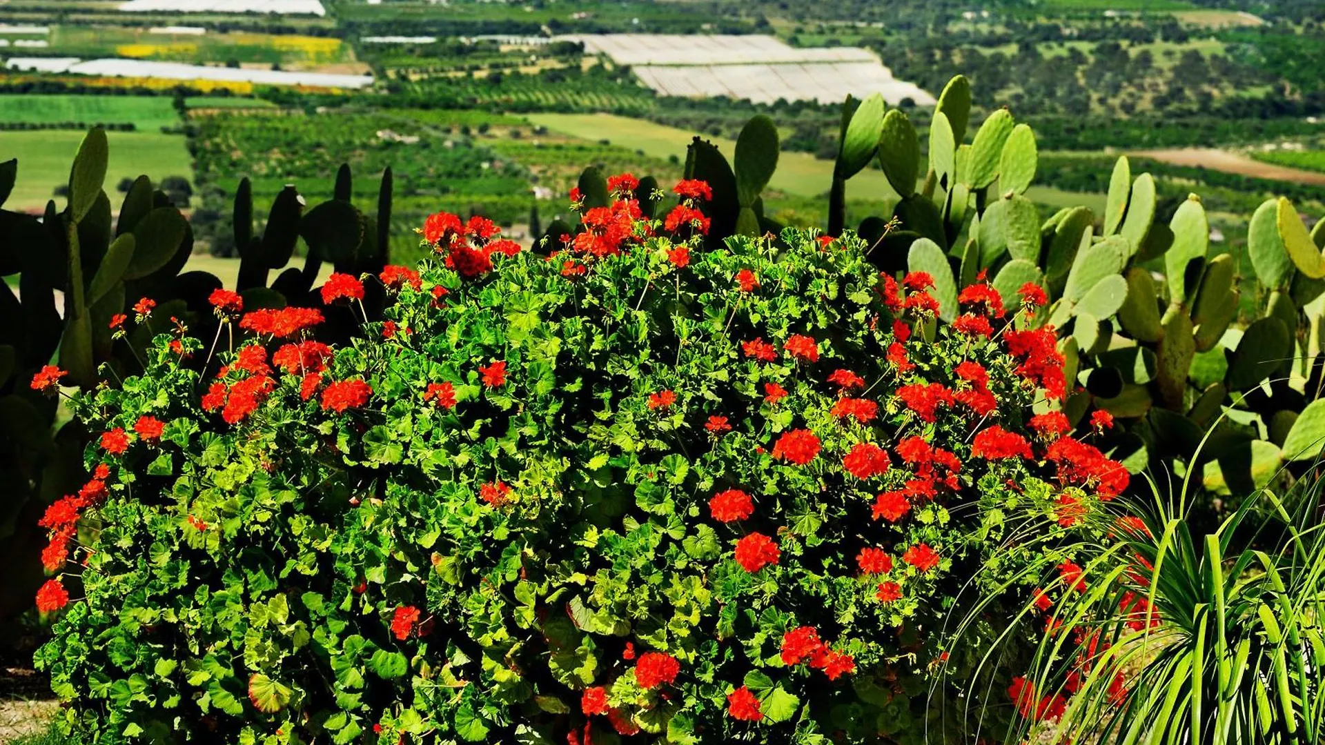 Kallikoros Country Resort & Spa Noto 4*,  Italy